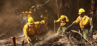 Firefighters in action